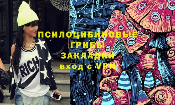стаф Арсеньев